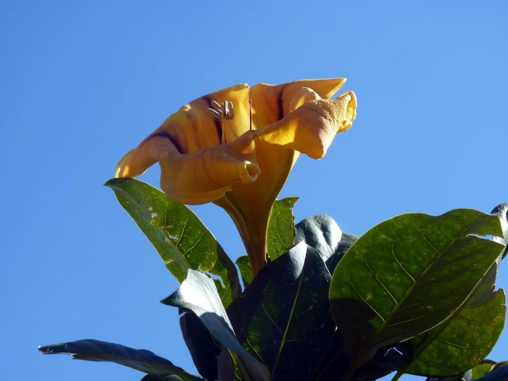 Апартаменты Sea Side Solandra Праяно Экстерьер фото